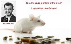 Glück kommt nicht von alleine2