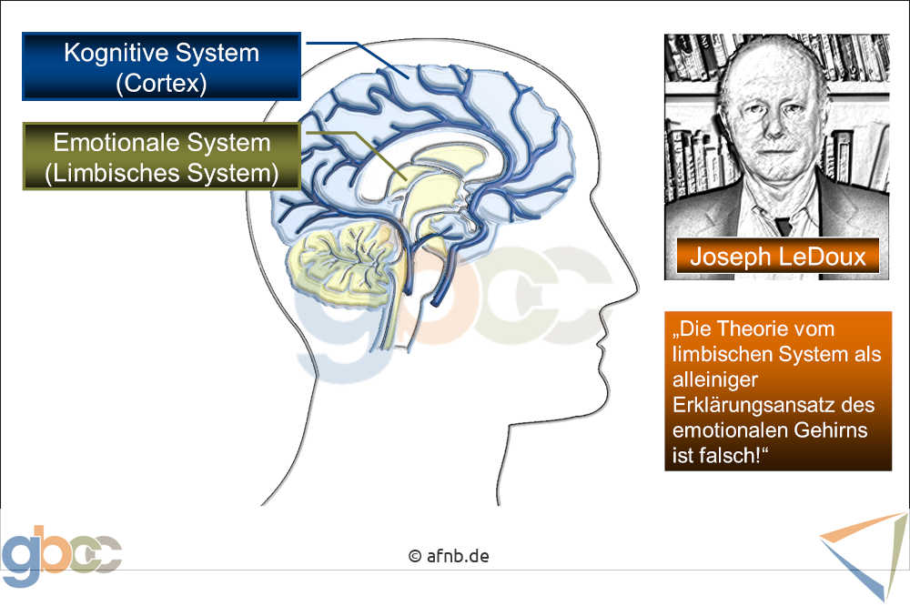 Neuromarketing-I-2