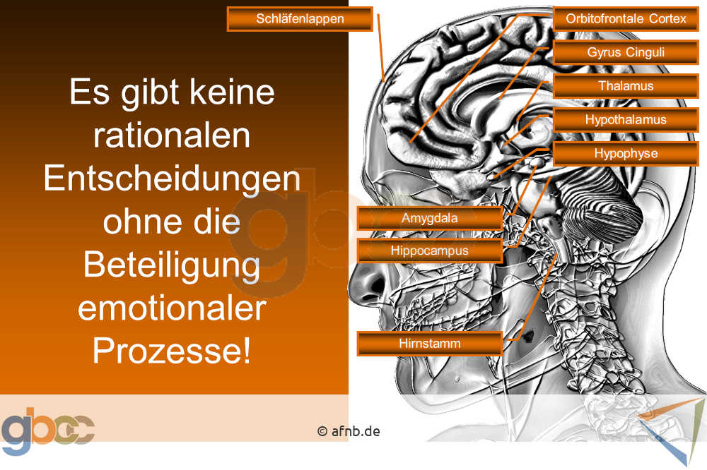 Neuromarketing-I-3