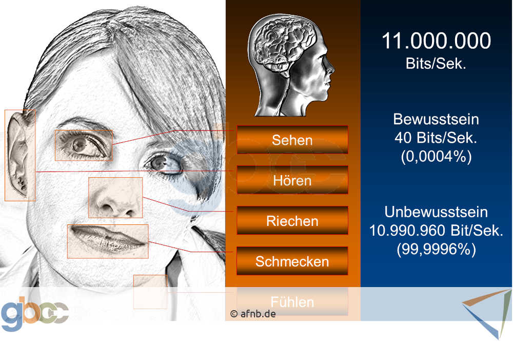 Neuromarketing-I-4