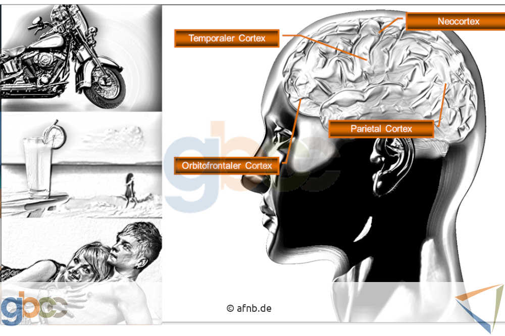 Neuromarketing-I-5