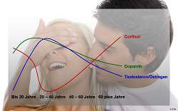 Entwicklung von Cortisol, Dopamin und Testosteron altersbedingt visualisiert