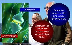 Kurzerläuterung zu Seratonin und Acethylcholin