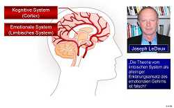 Visualisierung des kognitiven und des emotionalen Systems im Gehirn und Portrait von Joseph LeDeux