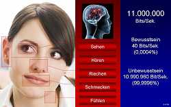Gehirnforschung: Neuromarketing-I-4