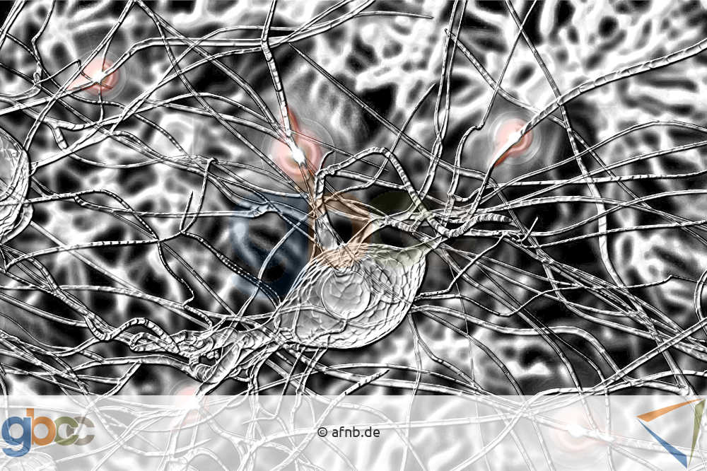 Kreativität: Abbildung von Neuronen im Gehirn