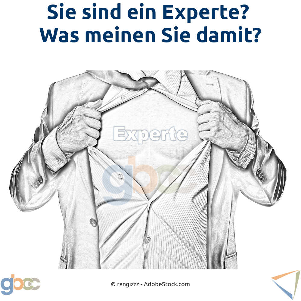 Sie sind ein Experte? Was meinen Sie damit?