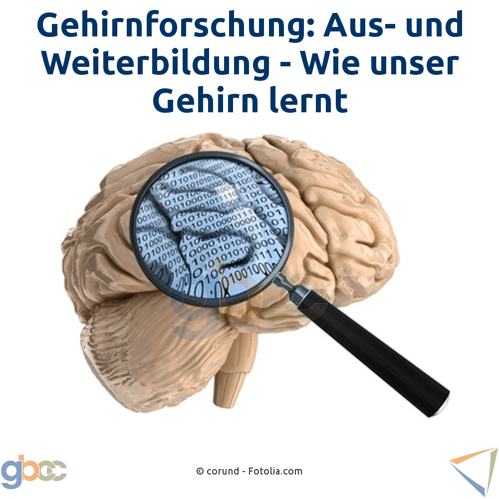 Gehirnforschung: Aus- und Weiterbildung - Wie unser Gehirn lernt