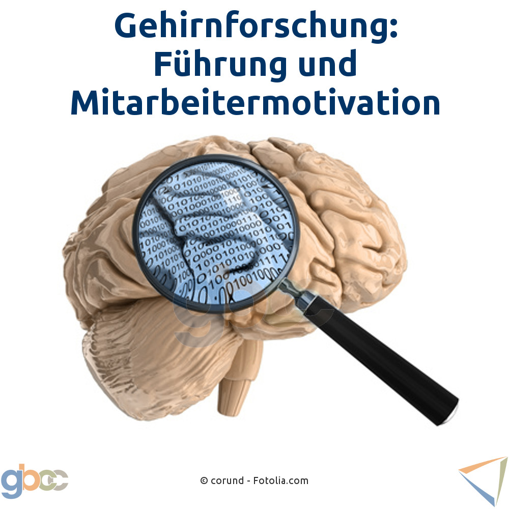 Gehirnforschung: Führung und Mitarbeitermotivation