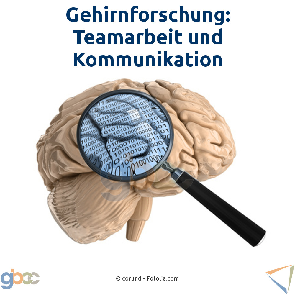 Gehirnforschung: Teamarbeit und Kommunikation