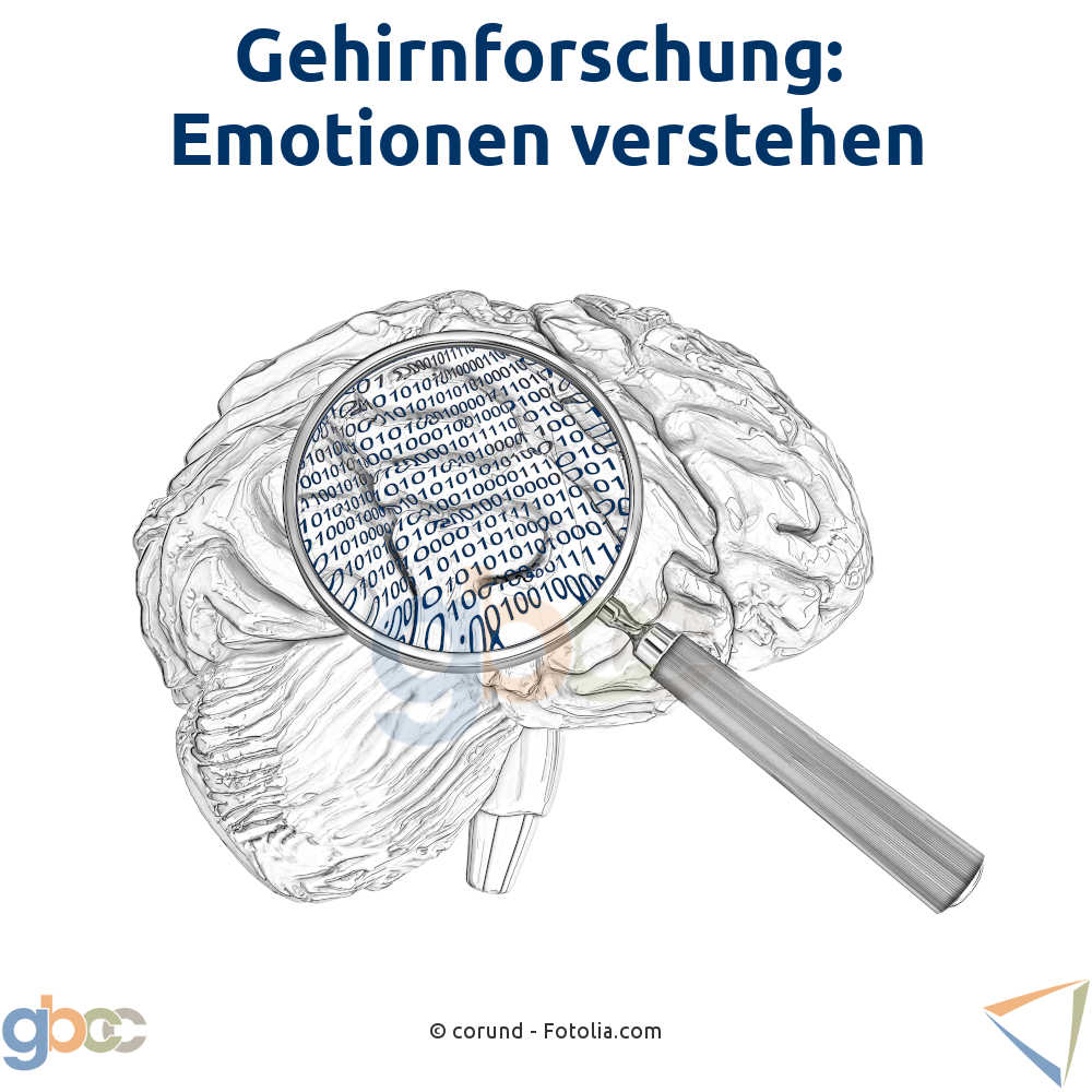 Gehirnforschung: Emotionen verstehen