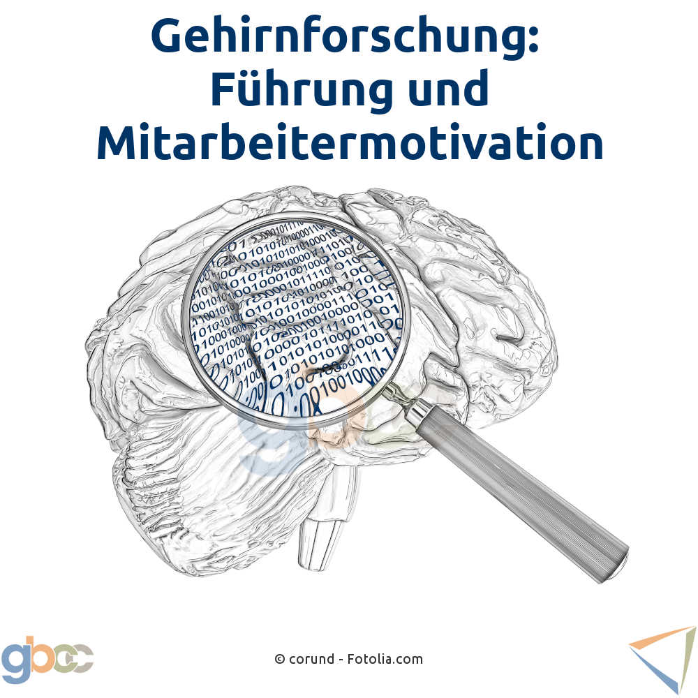Gehirnforschung: Führung und Mitarbeitermotivation