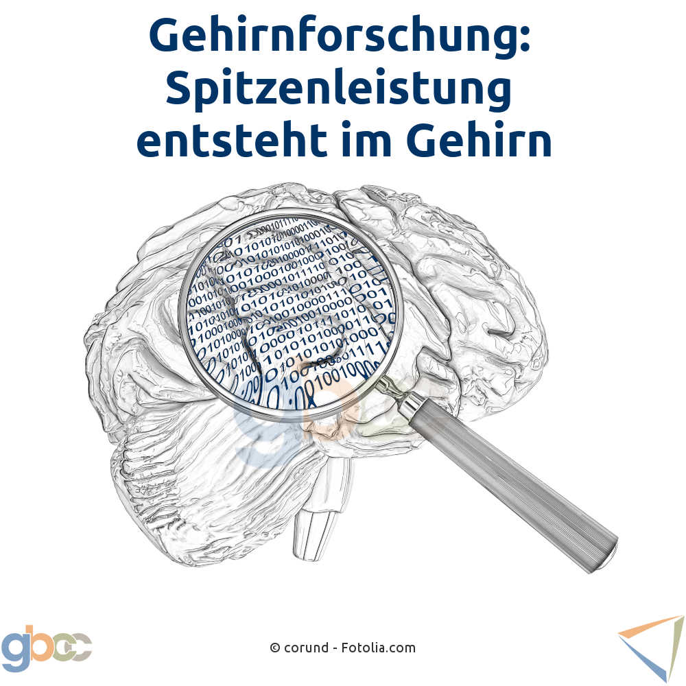 Gehirnfirschung: Spitzenleistung entsteht im Gehirn