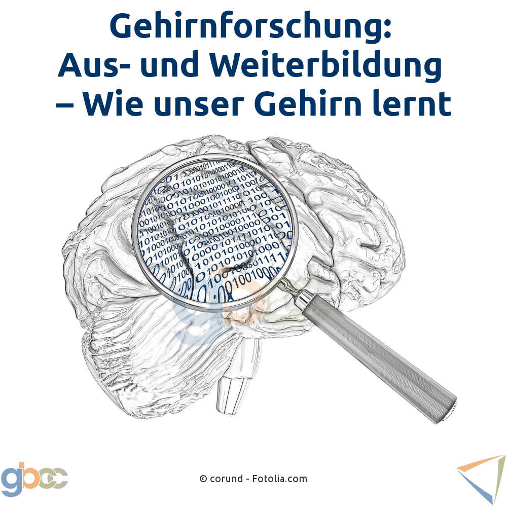 Gehirnforschung: Aus- und Weiterbildung - Wie unser Gehirn lernt