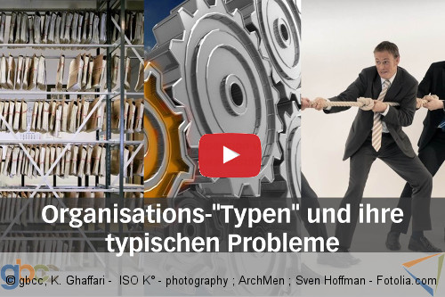 Organisations-"Typen" und ihre typischen Probleme